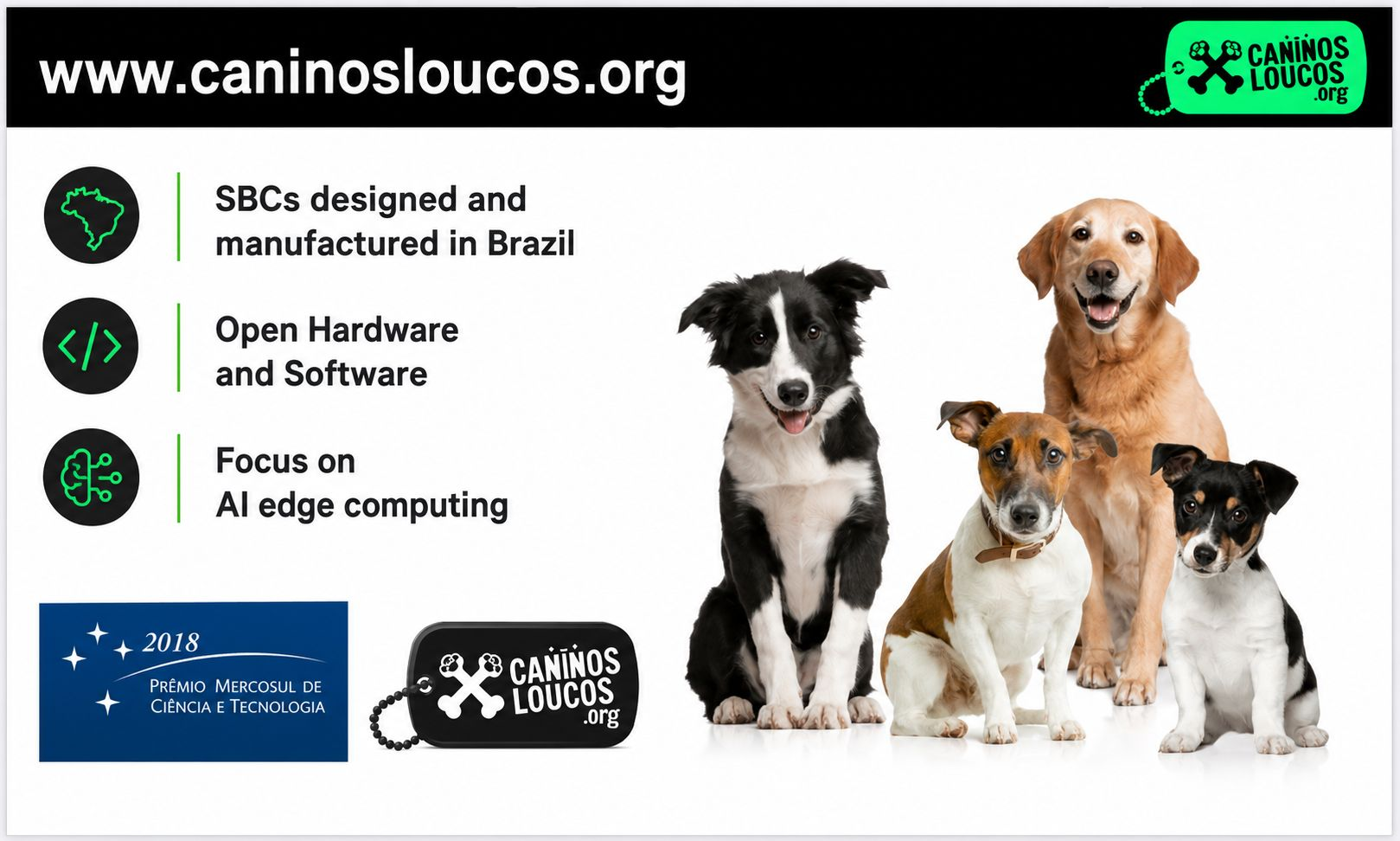 Caninos Loucos - SBCs Projetadas e Fabricadas no Brasil